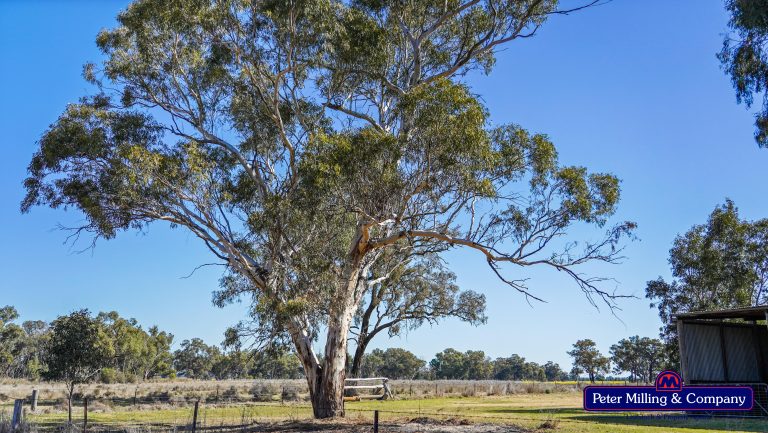 Mixed farming property at 41R Dulcidene Road, Dubbo NSW 2830 - photo 16