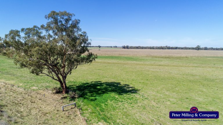 Mixed farming property at 41R Dulcidene Road, Dubbo NSW 2830 - photo 17