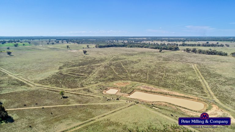Mixed farming property at 41R Dulcidene Road, Dubbo NSW 2830 - photo 18