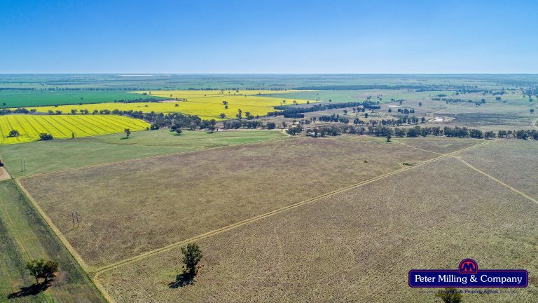 Mixed farming property at 41R Dulcidene Road, Dubbo NSW 2830 - photo 19
