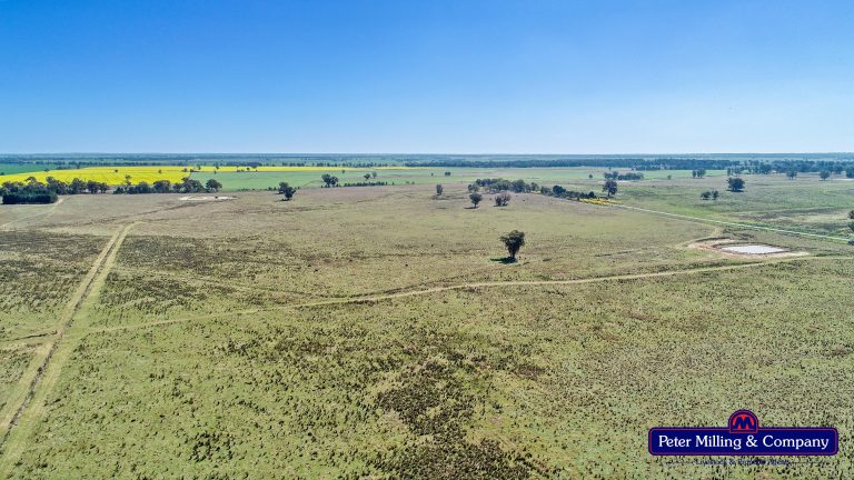 Mixed farming property at 41R Dulcidene Road, Dubbo NSW 2830 - photo 20