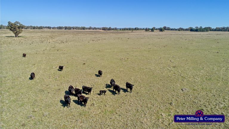 Mixed farming property at 41R Dulcidene Road, Dubbo NSW 2830 - photo 21
