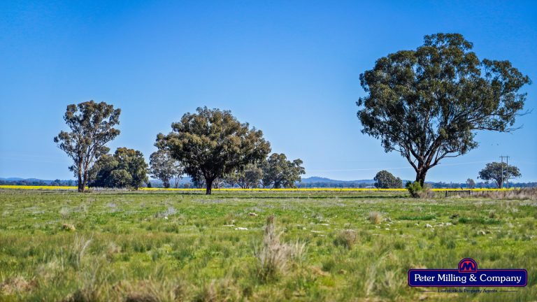 Mixed farming property at 41R Dulcidene Road, Dubbo NSW 2830 - photo 4