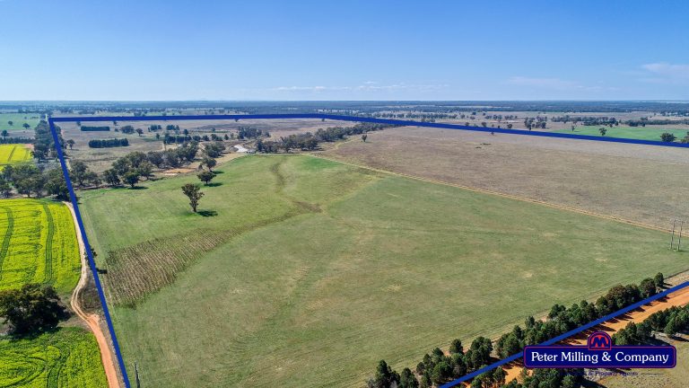 Mixed farming property at 41R Dulcidene Road, Dubbo NSW 2830 - photo 7