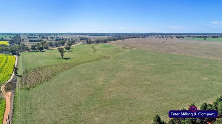 Mixed farming property at 41R Dulcidene Road, Dubbo NSW 2830 - photo 8