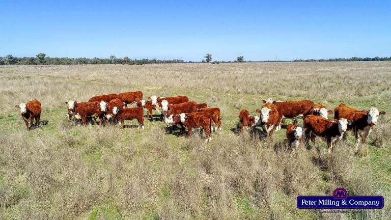 Mixed farming property at 41R Dulcidene Road, Dubbo NSW 2830