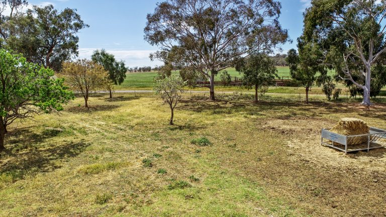 Lifestyle property at 487 Bennetts Road, Wellington NSW 2820 - photo 23