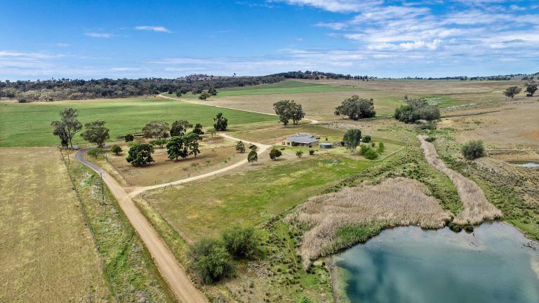 Lifestyle property at 487 Bennetts Road, Wellington NSW 2820