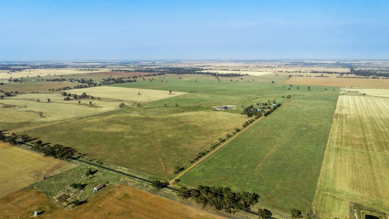 4 bedroom mixed farming property at 490 Pinedene Road, Narromine NSW 2821 - photo 2