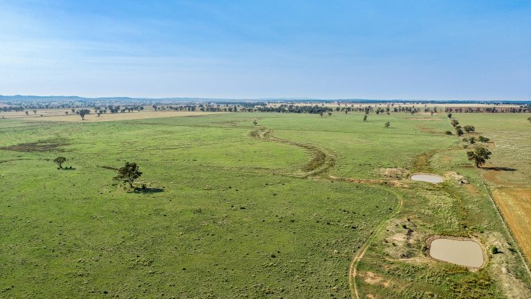 4 bedroom mixed farming property at 490 Pinedene Road, Narromine NSW 2821 - photo 11