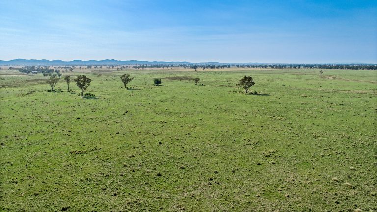4 bedroom mixed farming property at 490 Pinedene Road, Narromine NSW 2821 - photo 12