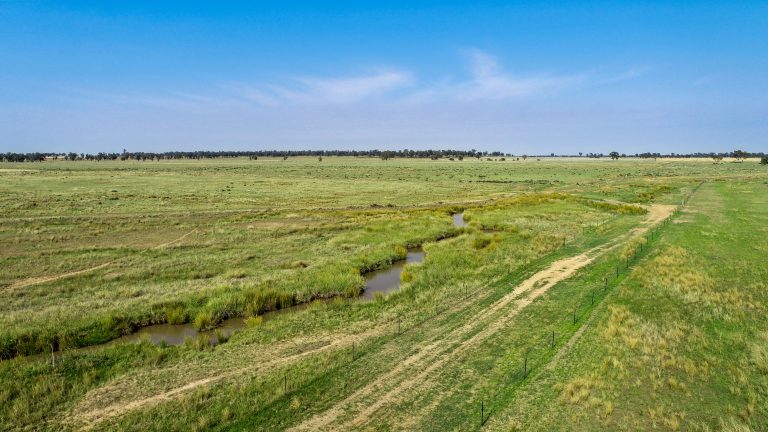 4 bedroom mixed farming property at 490 Pinedene Road, Narromine NSW 2821 - photo 13