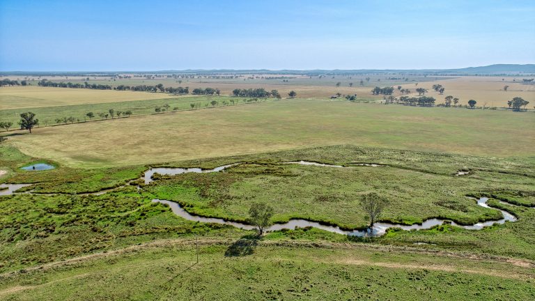 4 bedroom mixed farming property at 490 Pinedene Road, Narromine NSW 2821 - photo 14