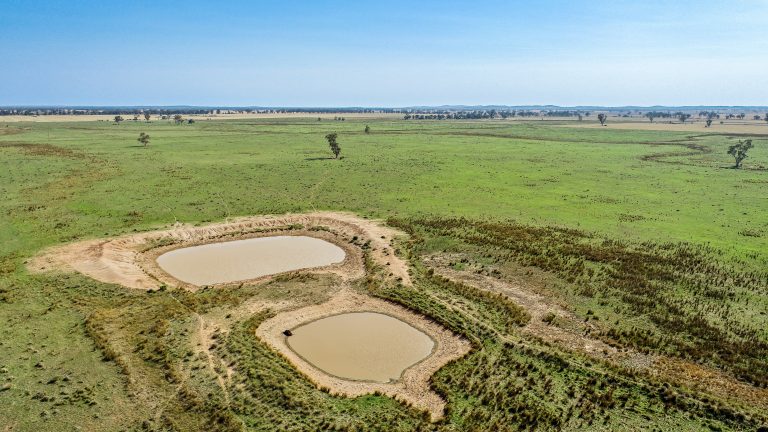 4 bedroom mixed farming property at 490 Pinedene Road, Narromine NSW 2821 - photo 15