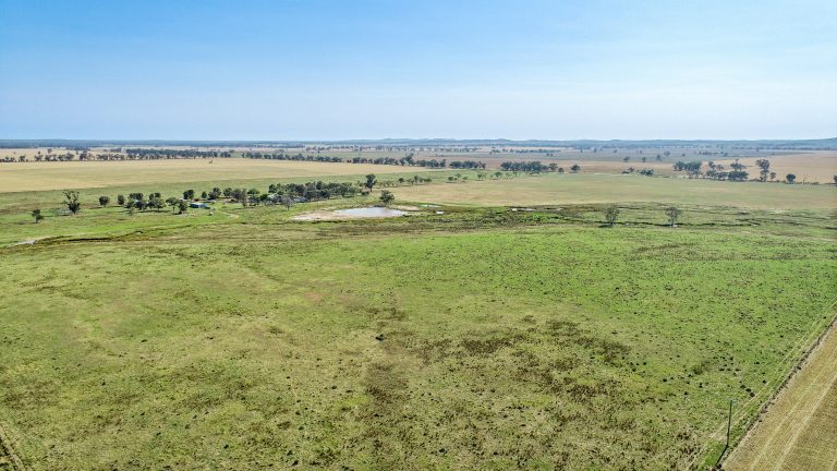 4 bedroom mixed farming property at 490 Pinedene Road, Narromine NSW 2821 - photo 16