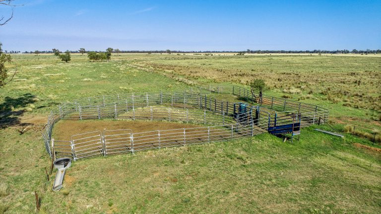 4 bedroom mixed farming property at 490 Pinedene Road, Narromine NSW 2821 - photo 17