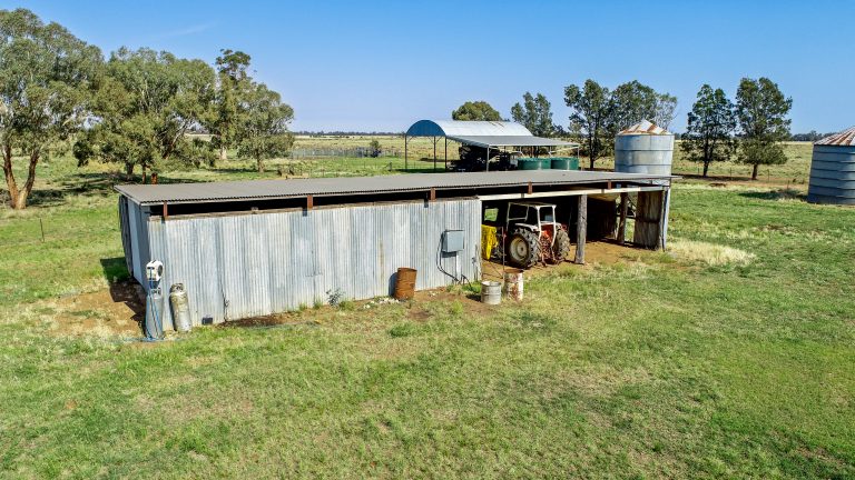 4 bedroom mixed farming property at 490 Pinedene Road, Narromine NSW 2821 - photo 19