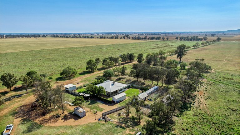 4 bedroom mixed farming property at 490 Pinedene Road, Narromine NSW 2821 - photo 20