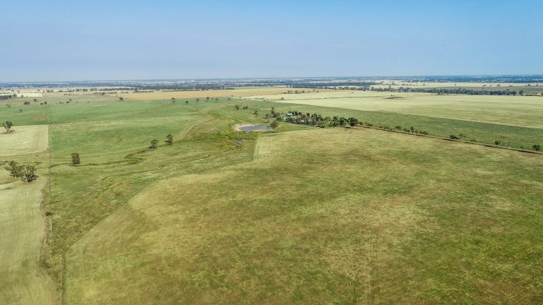4 bedroom mixed farming property at 490 Pinedene Road, Narromine NSW 2821 - photo 3