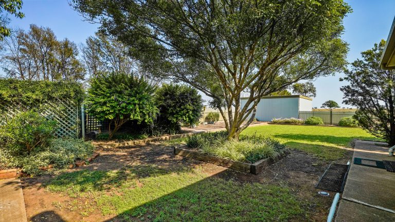 4 bedroom mixed farming property at 490 Pinedene Road, Narromine NSW 2821 - photo 23