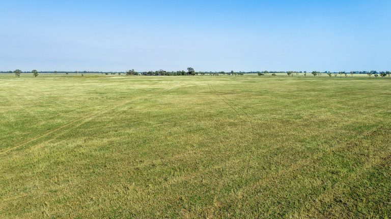 4 bedroom mixed farming property at 490 Pinedene Road, Narromine NSW 2821 - photo 4