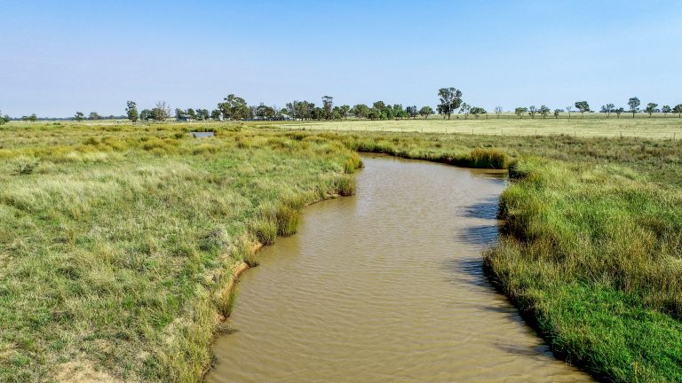 4 bedroom mixed farming property at 490 Pinedene Road, Narromine NSW 2821 - photo 6