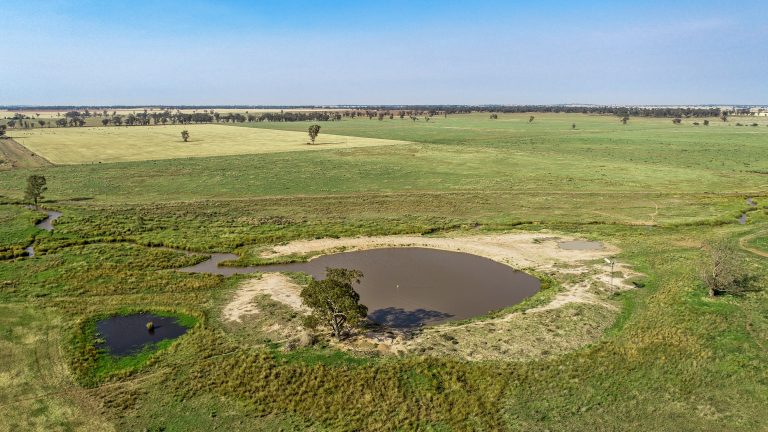 4 bedroom mixed farming property at 490 Pinedene Road, Narromine NSW 2821 - photo 7