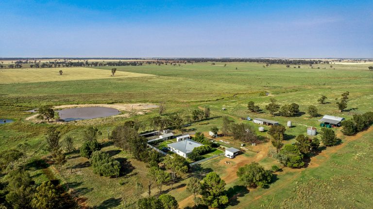 4 bedroom mixed farming property at 490 Pinedene Road, Narromine NSW 2821 - photo 8