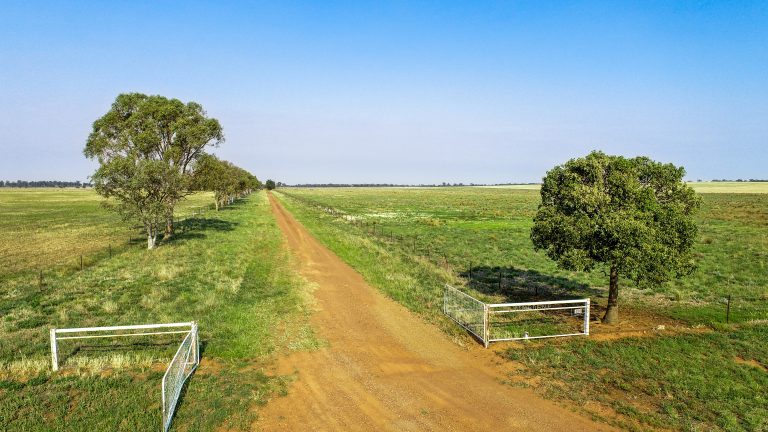 4 bedroom mixed farming property at 490 Pinedene Road, Narromine NSW 2821