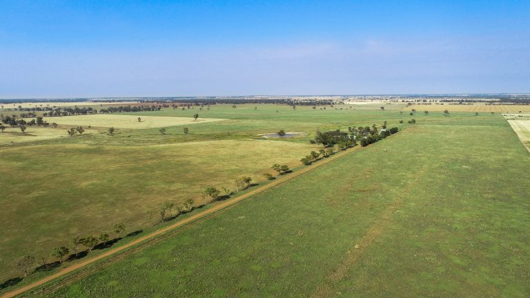 4 bedroom mixed farming property at 490 Pinedene Road, Narromine NSW 2821 - photo 9