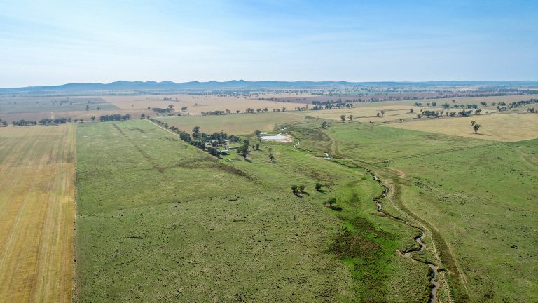 4 bedroom mixed farming property at 490 Pinedene Road, Narromine NSW 2821 - photo 10