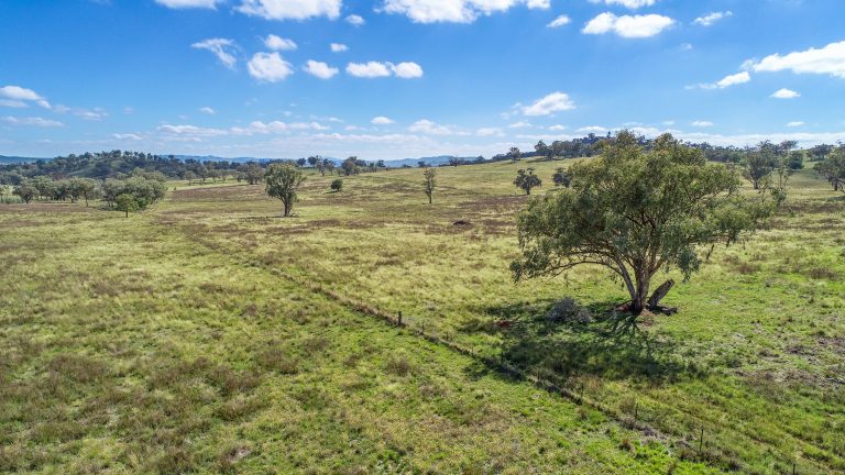 6 bedroom mixed farming property at 267 Dripstone Road, Wellington NSW 2820 - photo 12