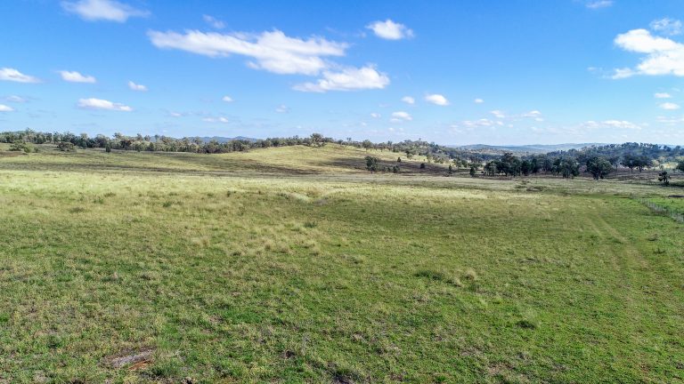6 bedroom mixed farming property at 267 Dripstone Road, Wellington NSW 2820 - photo 3