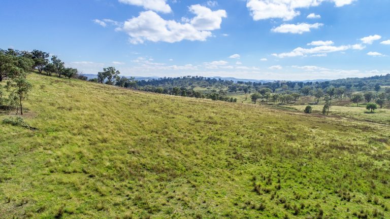 6 bedroom mixed farming property at 267 Dripstone Road, Wellington NSW 2820 - photo 4