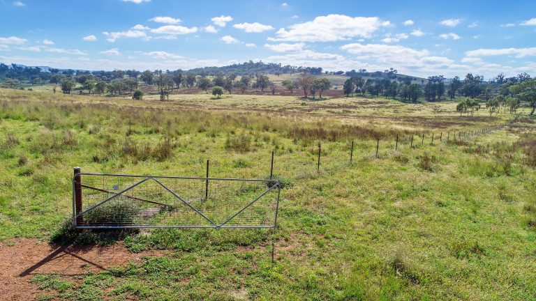 6 bedroom mixed farming property at 267 Dripstone Road, Wellington NSW 2820 - photo 5
