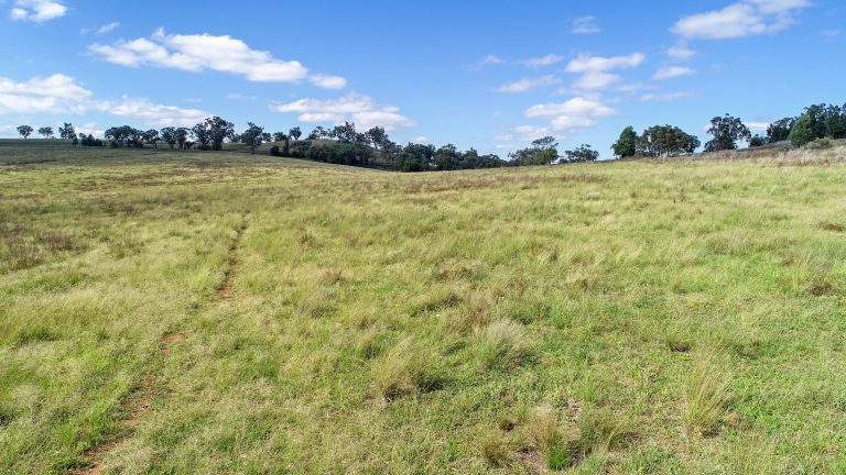 6 bedroom mixed farming property at 267 Dripstone Road, Wellington NSW 2820 - photo 6