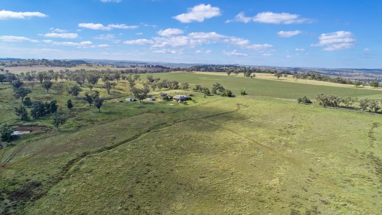 6 bedroom mixed farming property at 267 Dripstone Road, Wellington NSW 2820 - photo 7