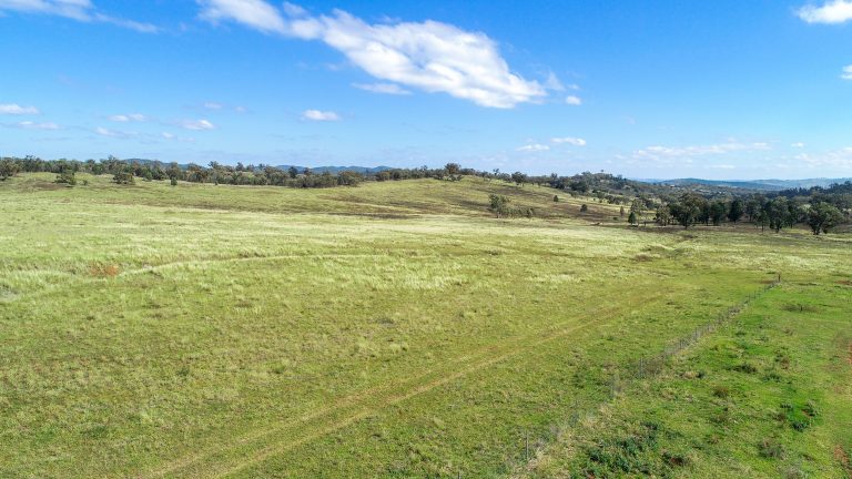 6 bedroom mixed farming property at 267 Dripstone Road, Wellington NSW 2820 - photo 9