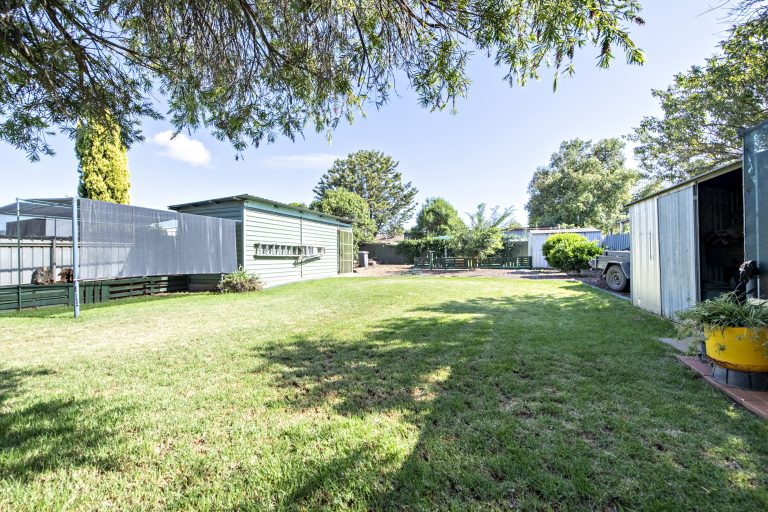 3 bedroom house at 54 Zouch Street, Wellington NSW 2820 - photo 11