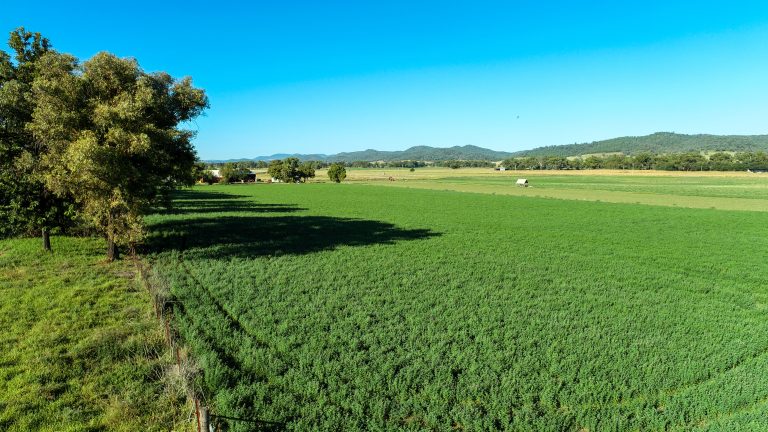 Mixed farming property at 9611 Mitchell Highway, Wellington NSW 2820 - photo 2