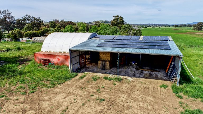 Mixed farming property at 9611 Mitchell Highway, Wellington NSW 2820 - photo 11