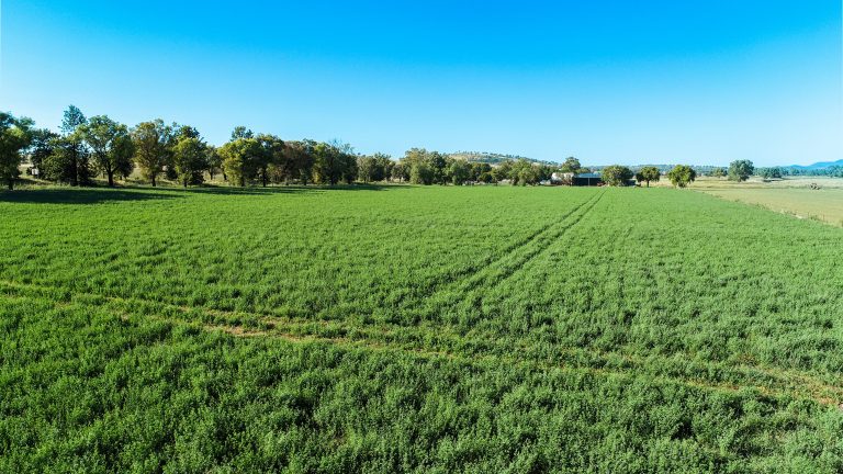 Mixed farming property at 9611 Mitchell Highway, Wellington NSW 2820 - photo 3