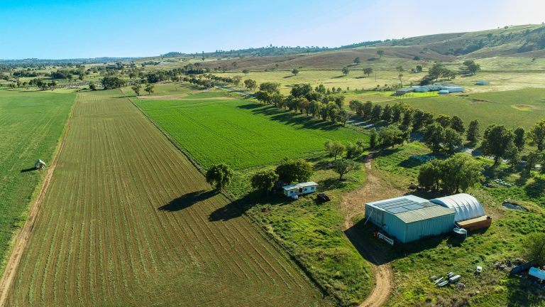 Mixed farming property at 9611 Mitchell Highway, Wellington NSW 2820 - photo 5