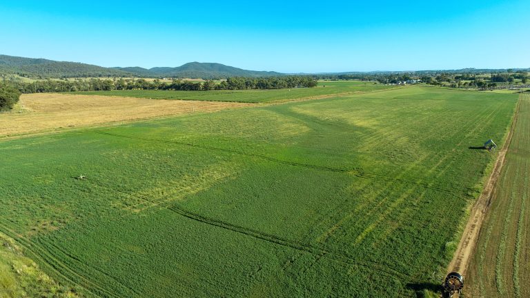 Mixed farming property at 9611 Mitchell Highway, Wellington NSW 2820 - photo 6