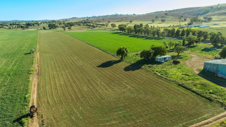 Mixed farming property at 9611 Mitchell Highway, Wellington NSW 2820 - photo 7