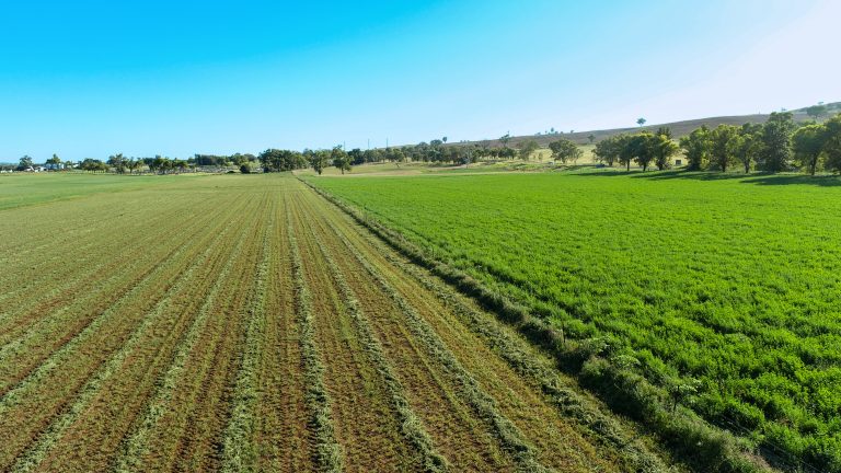 Mixed farming property at 9611 Mitchell Highway, Wellington NSW 2820 - photo 8