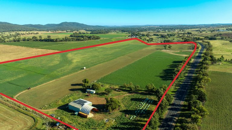Mixed farming property at 9611 Mitchell Highway, Wellington NSW 2820