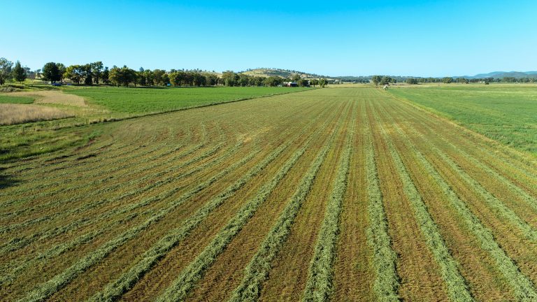 Mixed farming property at 9611 Mitchell Highway, Wellington NSW 2820 - photo 9