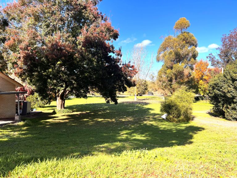 Land at 71 Montefiores Street, Wellington NSW 2820 - photo 2