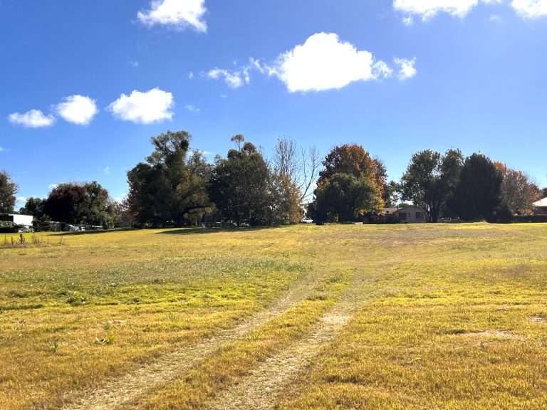 Land at 71 Montefiores Street, Wellington NSW 2820 - photo 3